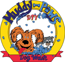 Muddy Paws